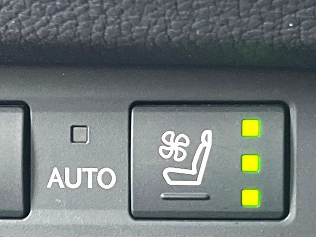 TOYOTA LEXUS ES300H 2019 Image 31