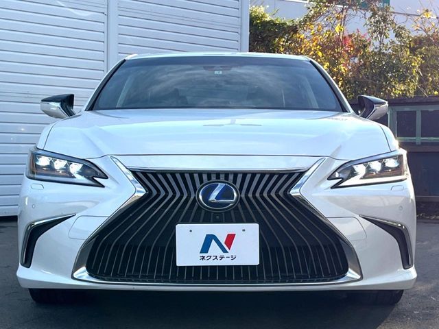 TOYOTA LEXUS ES300H 2019 Image 31