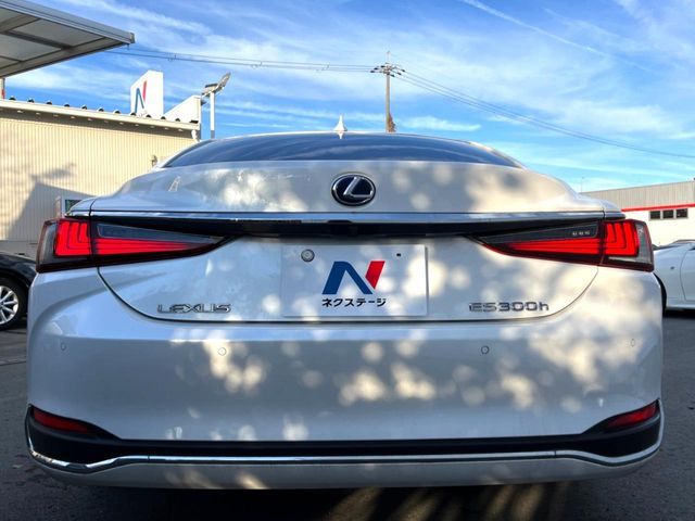 TOYOTA LEXUS ES300H 2019 Image 31