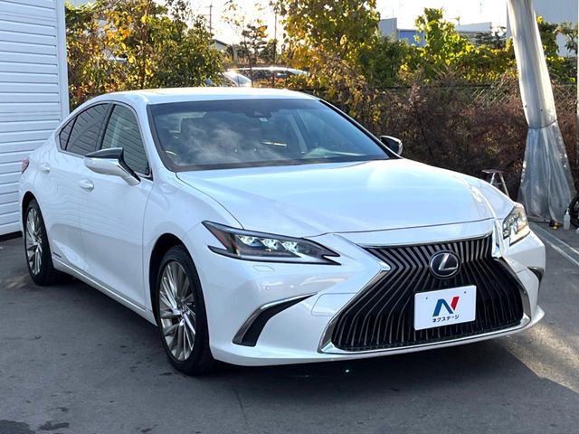 TOYOTA LEXUS ES300H 2019 Image 31