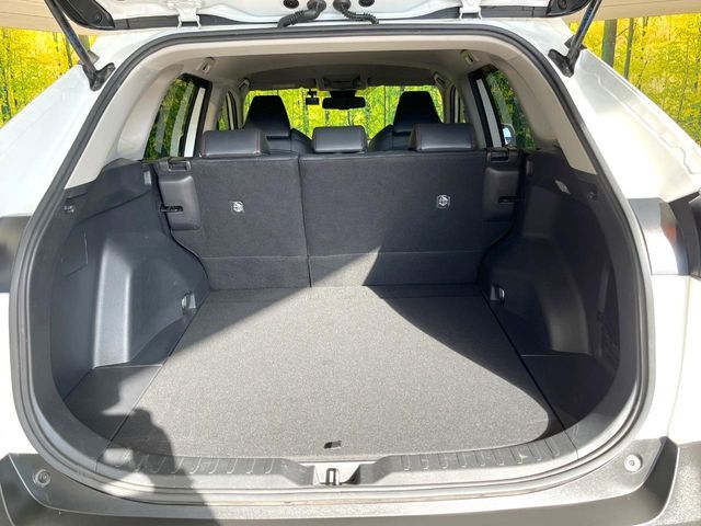 TOYOTA RAV4 4WD 2021 Image 31
