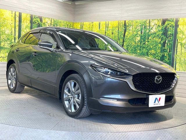 MAZDA CX-30 2022 Image 31