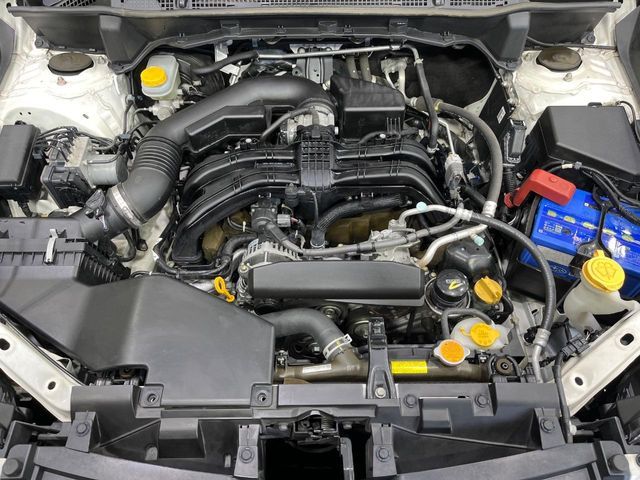 SUBARU FORESTER 2019 Image 31