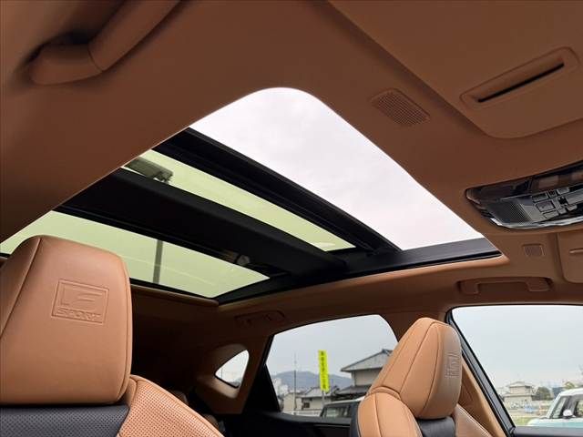 TOYOTA LEXUS NX350H 2024 Image 31