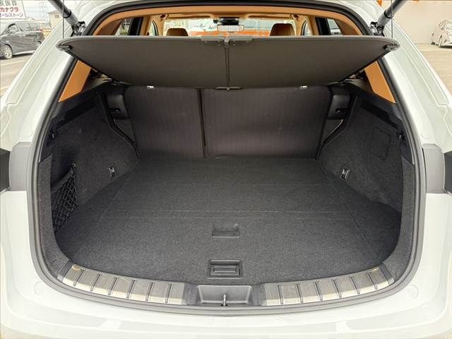 TOYOTA LEXUS NX350H 2024 Image 31