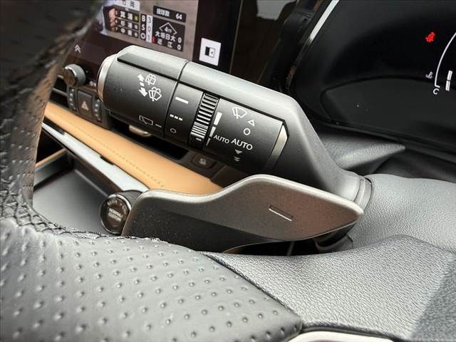 TOYOTA LEXUS NX350H 2024 Image 31