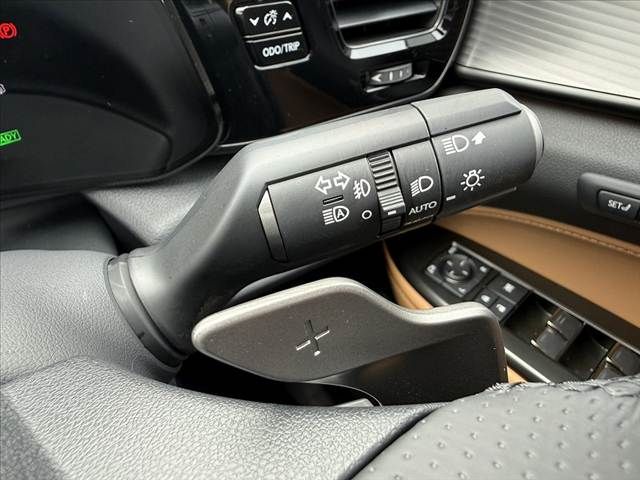 TOYOTA LEXUS NX350H 2024 Image 31