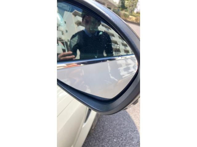 RENAULT MEGANE HATCH 2019 Image 31