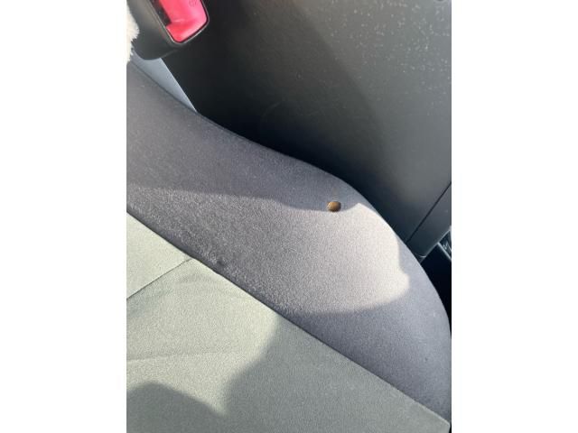 TOYOTA PRIUS ALPHA 2011 Image 31