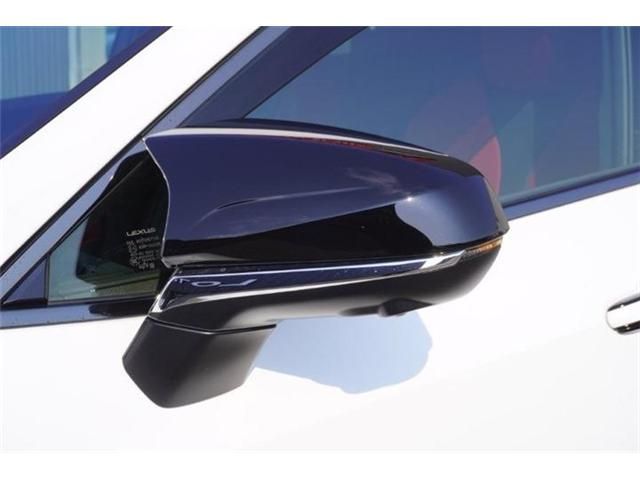 TOYOTA LEXUS NX350H AWD 2023 Image 31