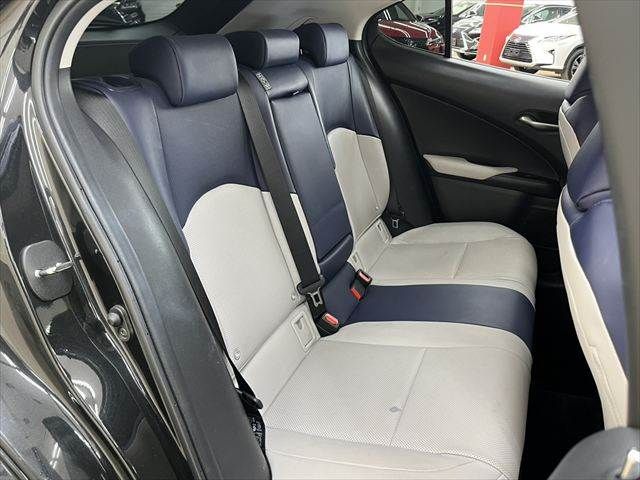 TOYOTA LEXUS UX250H AWD 2019 Image 31