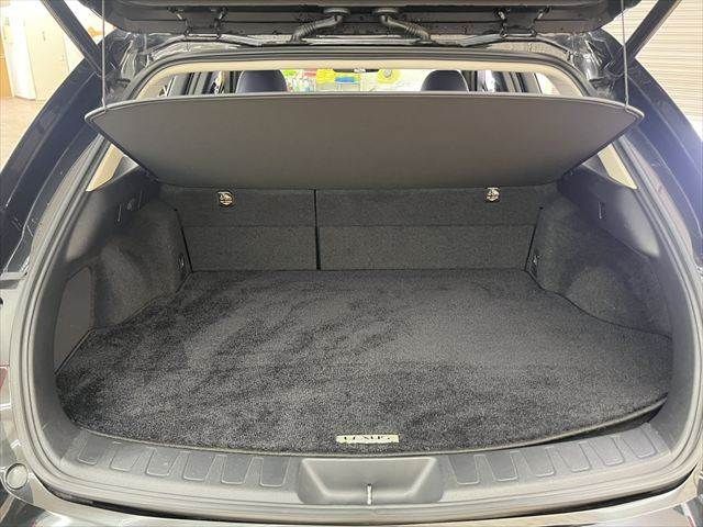 TOYOTA LEXUS UX250H AWD 2019 Image 31