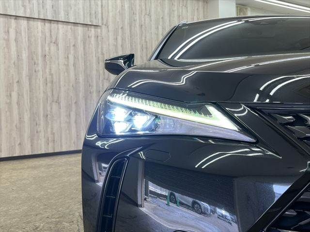 TOYOTA LEXUS UX250H AWD 2019 Image 31