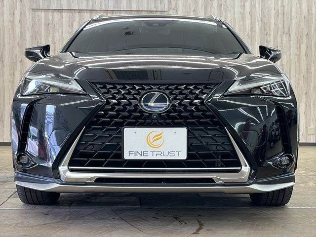TOYOTA LEXUS UX250H AWD 2019 Image 31