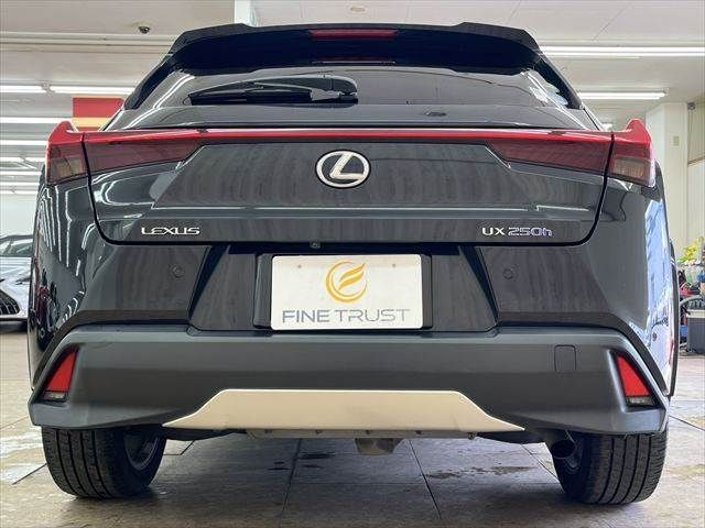 TOYOTA LEXUS UX250H AWD 2019 Image 31