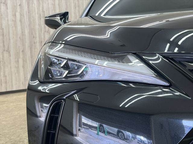 TOYOTA LEXUS UX250H AWD 2019 Image 31
