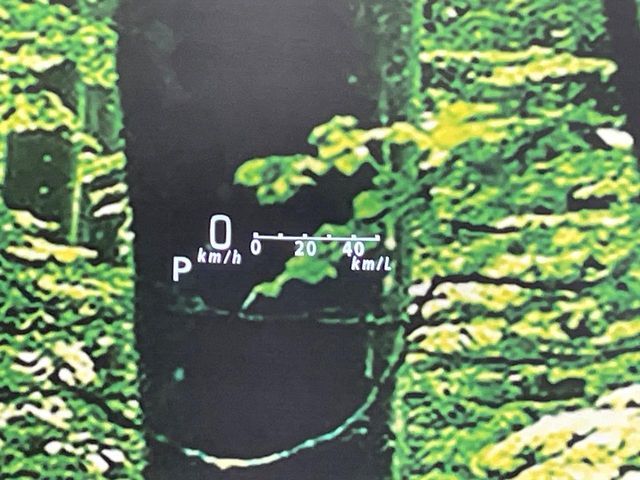 SUZUKI SPACIA GEAR 2019 Image 31