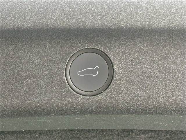 TESLA MODEL Y 2023 Image 31