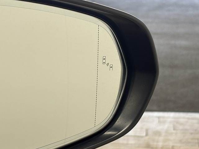 TOYOTA LEXUS NX300H 2021 Image 31