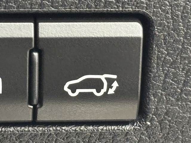 TOYOTA LEXUS NX300H 2021 Image 31