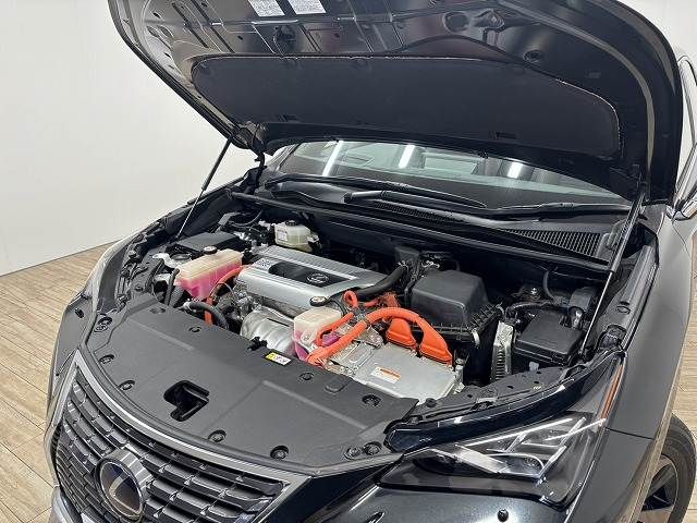 TOYOTA LEXUS NX300H 2021 Image 31