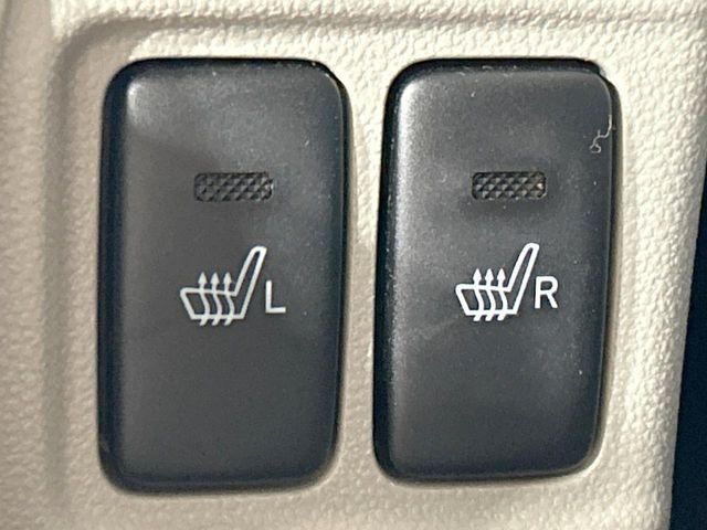 DAIHATSU CAST STYLE 2019 Image 31