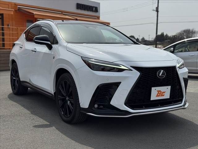 TOYOTA LEXUS NX350H 2024 Image 31