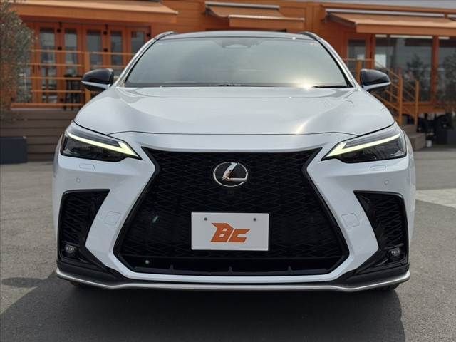 TOYOTA LEXUS NX350H 2024 Image 31
