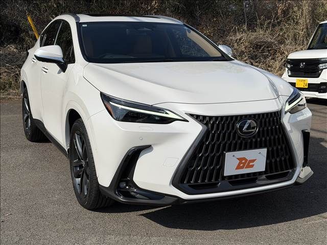 TOYOTA LEXUS NX350H AWD 2025 Image 31