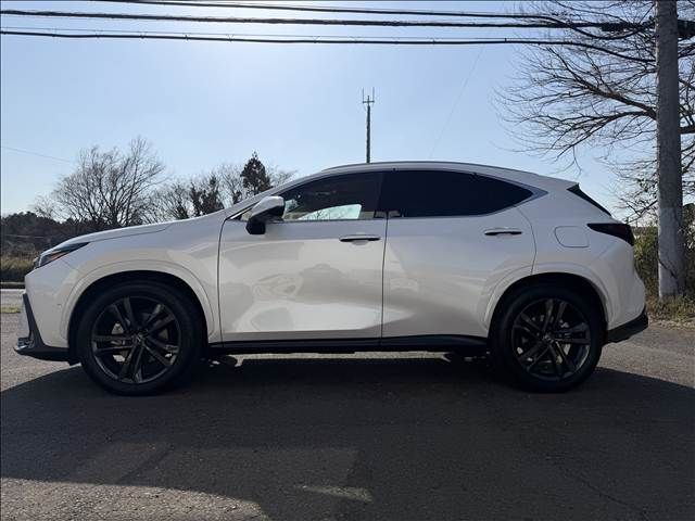 TOYOTA LEXUS NX350H AWD 2025 Image 31