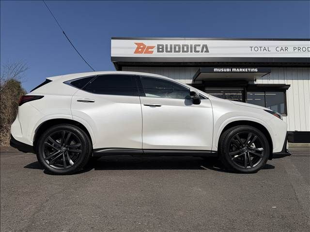 TOYOTA LEXUS NX350H AWD 2025 Image 31