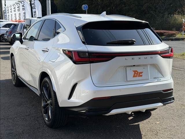 TOYOTA LEXUS NX350H AWD 2025 Image 31