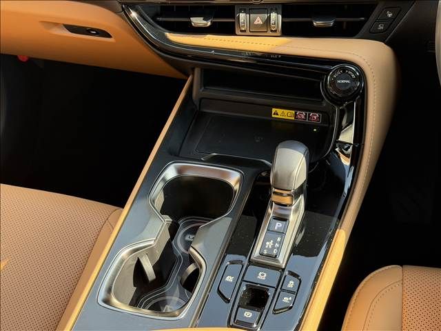 TOYOTA LEXUS NX350H AWD 2025 Image 31