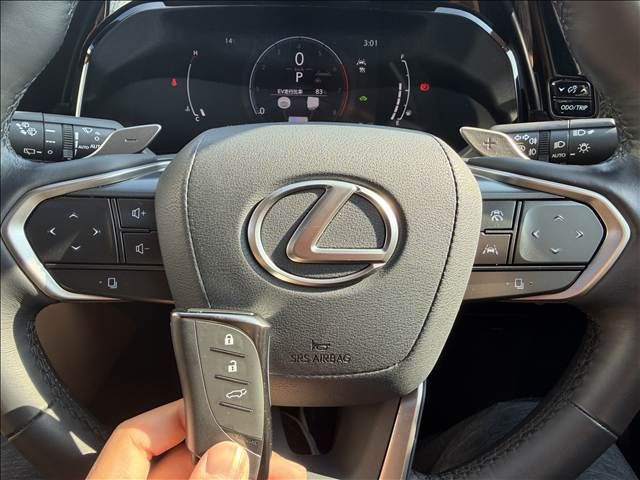 TOYOTA LEXUS NX350H AWD 2025 Image 31