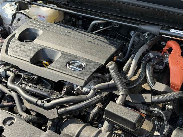 TOYOTA LEXUS NX350H AWD 2025 Image 31