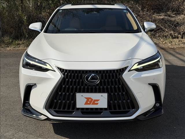 TOYOTA LEXUS NX350H AWD 2025 Image 31