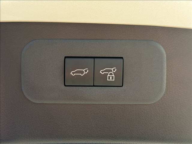 TOYOTA LEXUS NX350H AWD 2025 Image 31