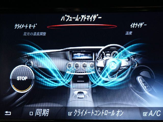 MERCEDES BENZ S CLAS 2017 Image 31