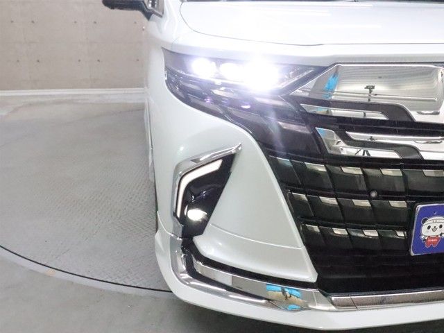 TOYOTA ALPHARD 2024 Image 31