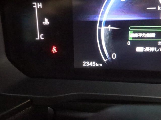 TOYOTA LANDCRUISER 250 2025 Image 31