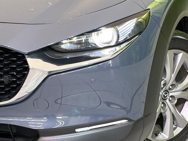 MAZDA CX-30 2019 Image 31