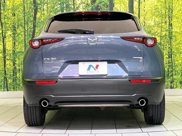 MAZDA CX-30 2019 Image 31