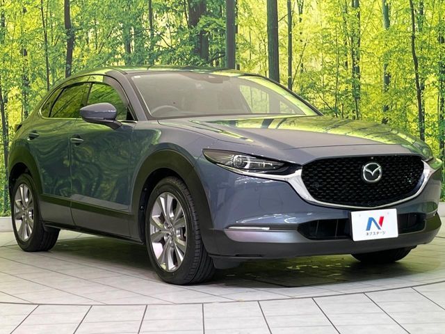 MAZDA CX-30 2019 Image 31