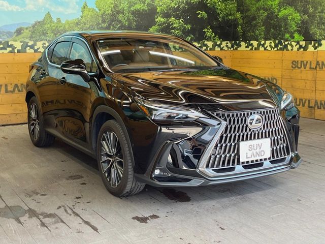 TOYOTA LEXUS NX350H 2023 Image 31