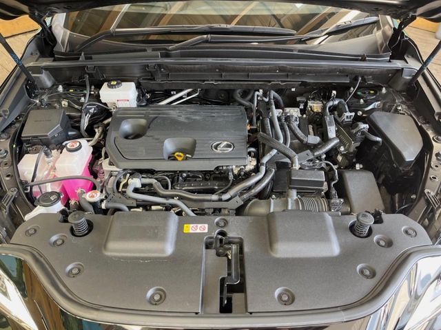 TOYOTA LEXUS NX350H 2023 Image 31