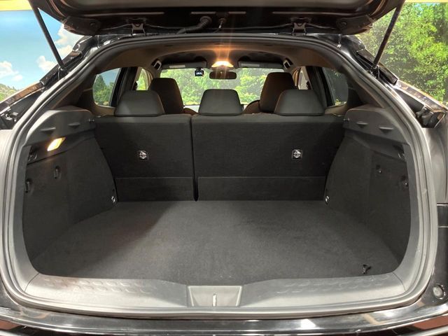 TOYOTA C-HR 2018 Image 31