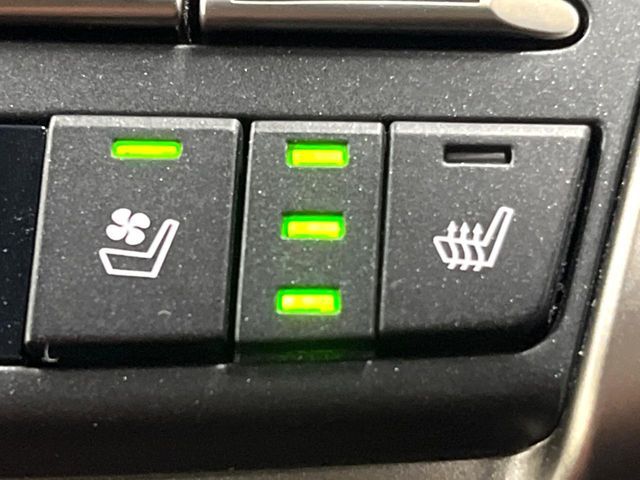 TOYOTA LEXUS NX300H 2019 Image 31