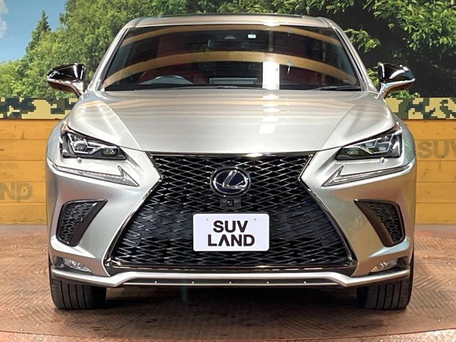TOYOTA LEXUS NX300H 2019 Image 31