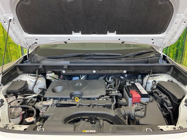 TOYOTA RAV4 4WD 2021 Image 31