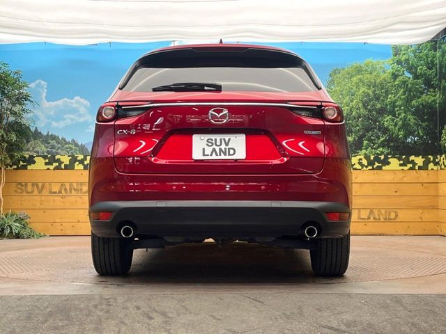 MAZDA CX-8 2019 Image 31